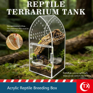 TX Steeple-Shape Jumping Spider Enclosure | 360° Clear Vertical Reptile Habitat | Secure Magnetic Micro Terrarium for Mantis & Slings