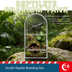 TX Dome-Shape Jumping Spider Enclosure | 360° Panoramic Acrylic Reptile Habitat | Magnetic Micro Terrarium for Mantis & Arboreal Slings