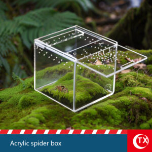 TX Magnetic Cube Acrylic Spider Habitat - Escape-Proof Cubic Terrarium - Precision Ventilated Breeding Tank for Jumping Spiders & Small Insect