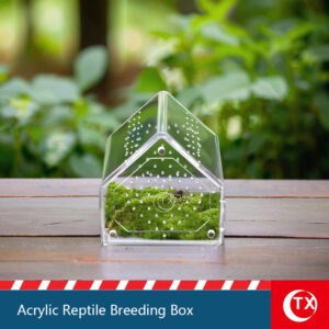 TX Acrylic Reptile Penthouse | House-Shaped Jumping Spider Enclosure | 360° Clear Vertical Habitat with Magnetic Door for Mantis & Slings