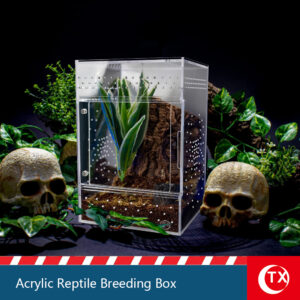 TX Large Adult Jumping Spider Enclosure - Crystal Clear Acrylic Vertical Habitat with Secure Magnetic Door - Fully Assembled Escape-Proof Terrarium