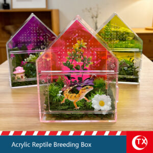 TX House-Shaped Jumping Spider & Tarantula Enclosure | Crystal Clear Acrylic Vertical Habitat | Secure Magnetic Micro Terrarium