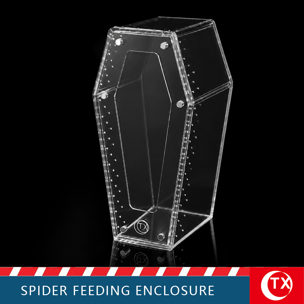 TX Coffin-Shaped Spider Enclosure - Gothic Acrylic Terrarium for Jumping Spiders & Mantis (Small/Large)