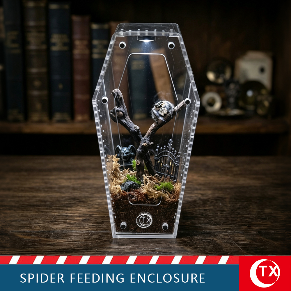 TX Coffin-Shaped Spider Enclosure - Gothic Acrylic Terrarium for Jumping Spiders & Mantis (Small/Large) - Image 2