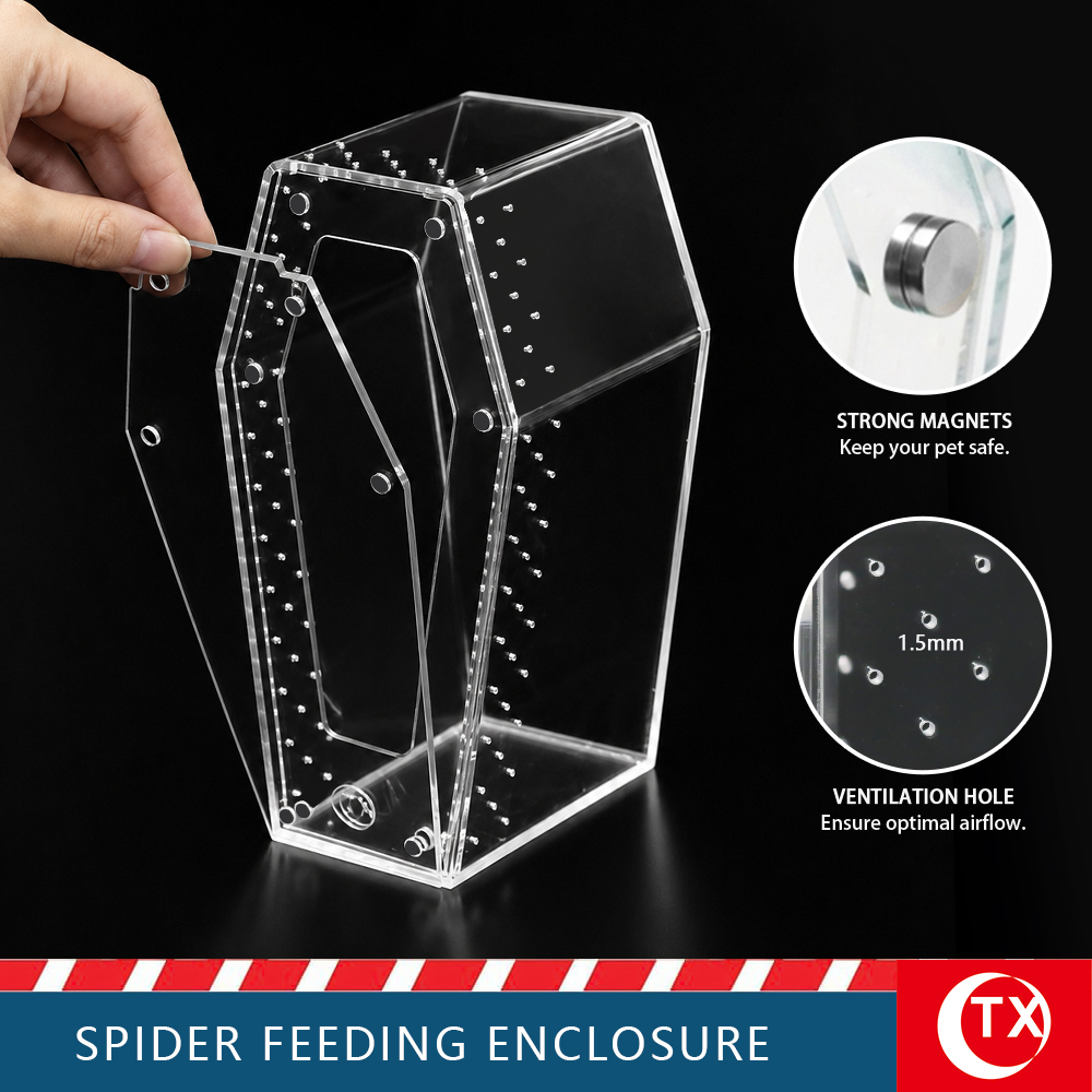 TX Coffin-Shaped Spider Enclosure - Gothic Acrylic Terrarium for Jumping Spiders & Mantis (Small/Large) - Image 3