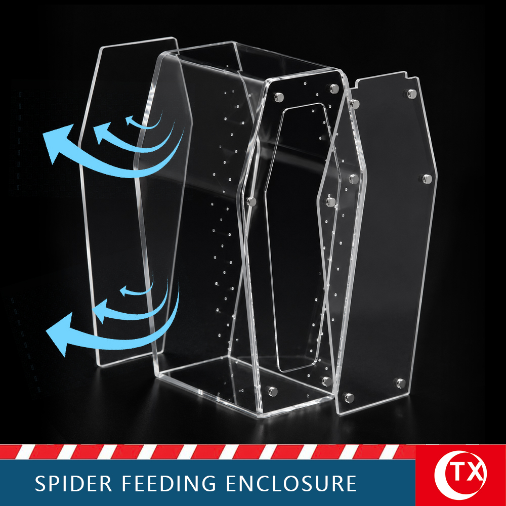 TX Coffin-Shaped Spider Enclosure - Gothic Acrylic Terrarium for Jumping Spiders & Mantis (Small/Large) - Image 4