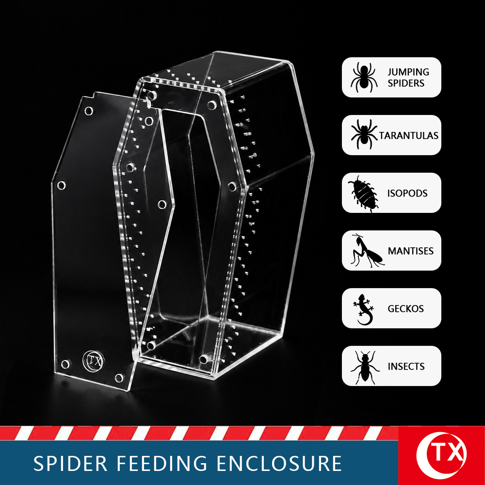 TX Coffin-Shaped Spider Enclosure - Gothic Acrylic Terrarium for Jumping Spiders & Mantis (Small/Large) - Image 5