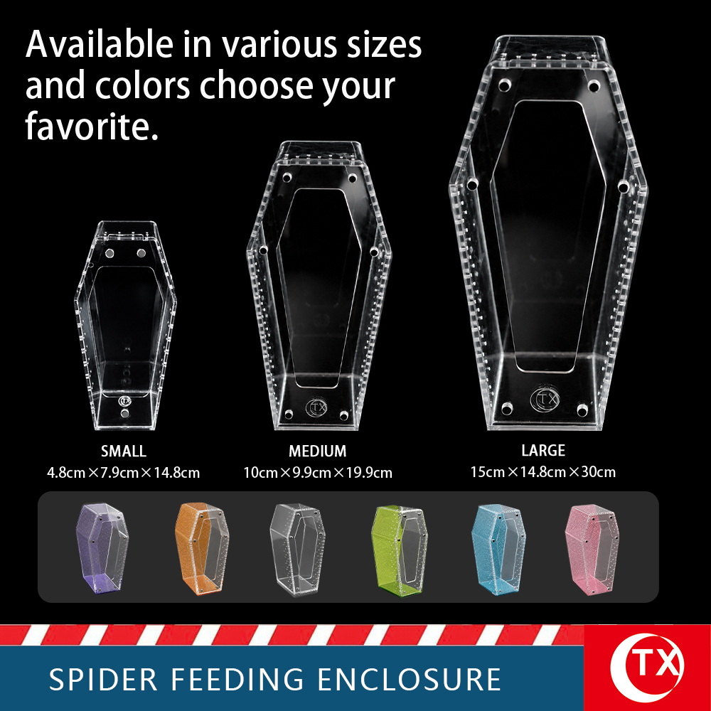 TX Coffin-Shaped Spider Enclosure - Gothic Acrylic Terrarium for Jumping Spiders & Mantis (Small/Large) - Image 6