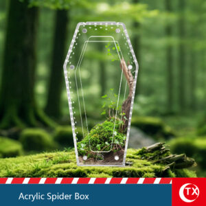 Wholesale coffin shaped acrylic jumping spider enclosure from TX factory.