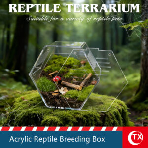 TX Hexagonal Acrylic Reptile Habitat - Stable Desktop Breeding Box for Jumping Spiders, Mantis, and Micro Pets, Clear View Terrarium with Secure Magnetic Lid