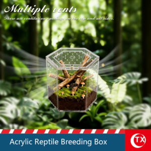 TX Hexagonal Modular Acrylic Reptile Enclosure - Wall-Mounted & Desktop 2-in-1 Habitat, Magnetic Escape-Proof Lid, 360° Clear View Breeding Box for Jumping Spiders, Mantis, and Small Geckos