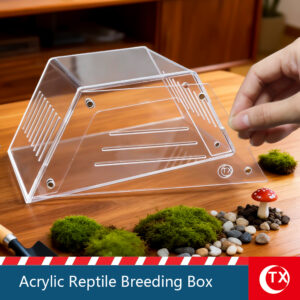 TX Acrylic Reptile Breeding Box - Magnetic Trapezoid Terrarium for Small Animals, Clear Habitat Enclosure for Tarantula, Jumping Spider, Scorpion, Isopod, and Gecko (7.87" x 3.54" x 3.93")