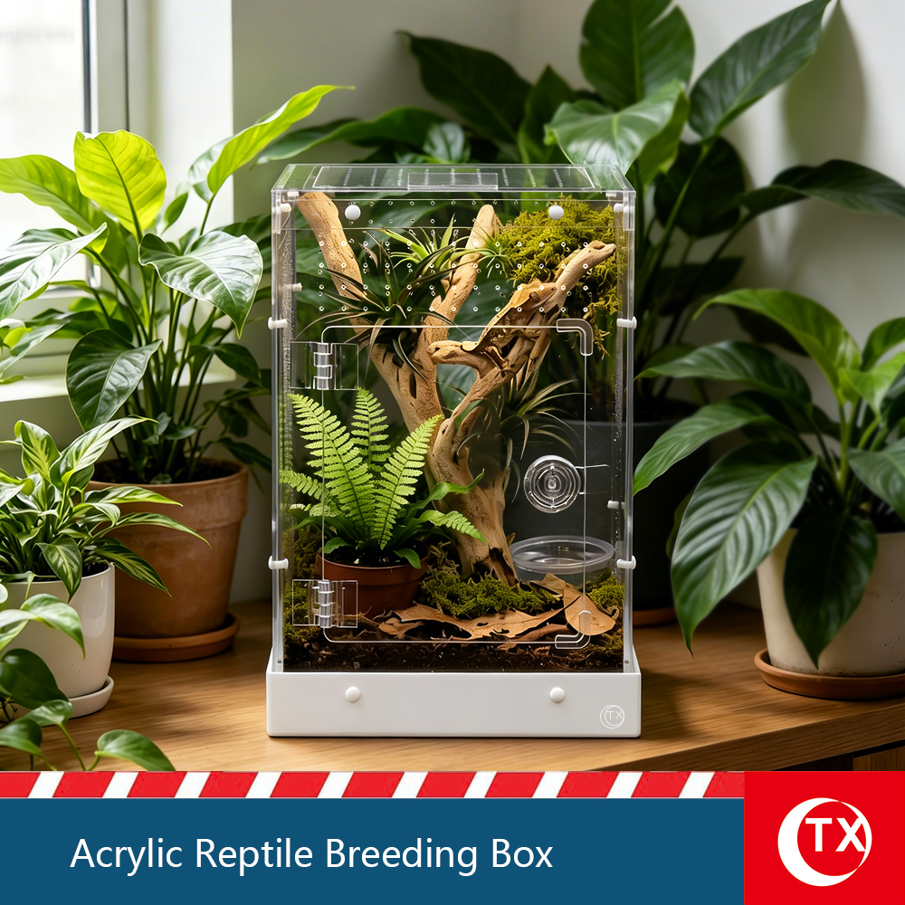 TX Large Acrylic Reptile Breeding Box - 7.9" x 7.9" x 12.2" - Watertight Base, Magnetic Top Lid & Side Opening Door - Easy Assembly, Stackable Habitat for Jumping Spiders, Geckos, Arboreal Reptiles - Image 3