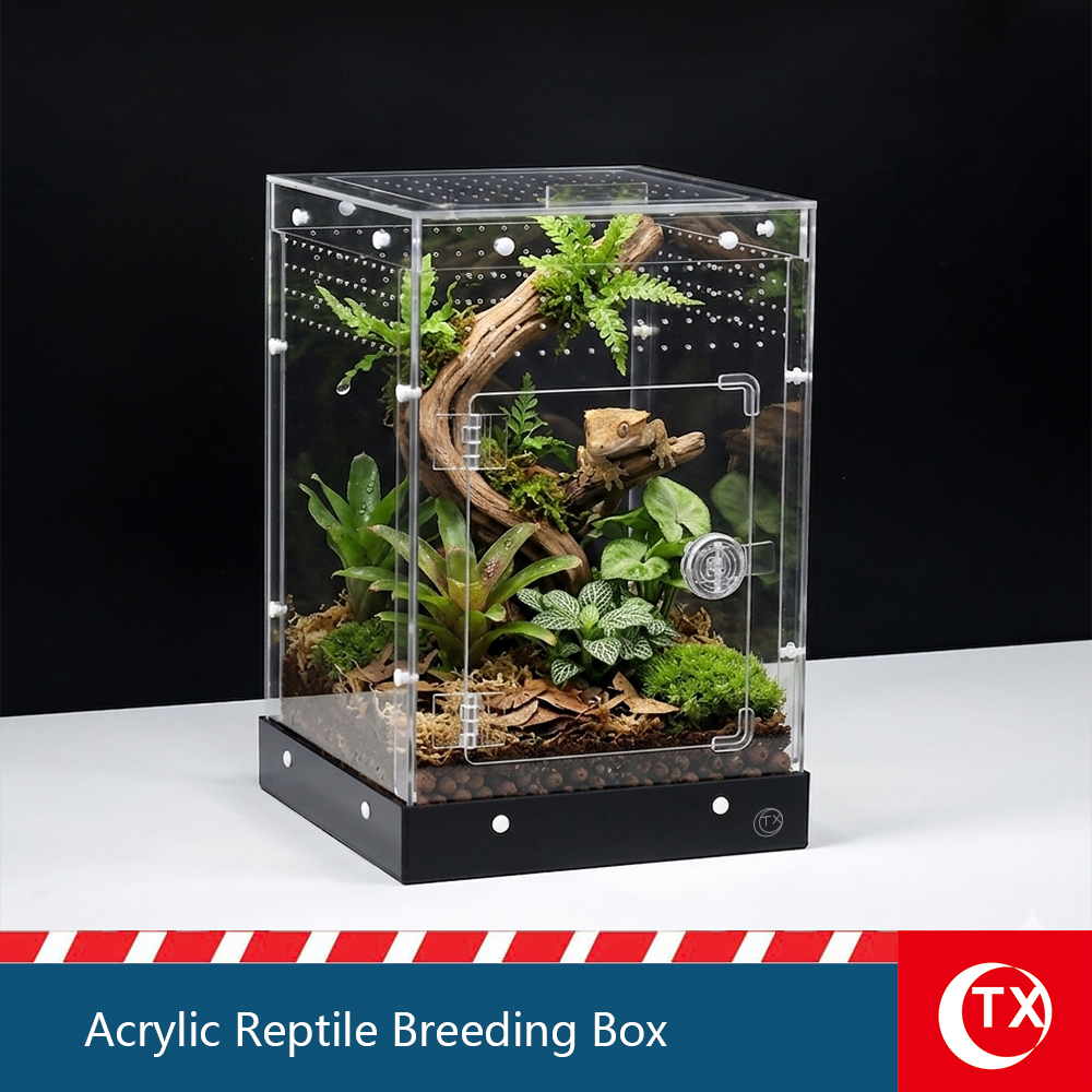 TX Large Acrylic Reptile Breeding Box - 7.9" x 7.9" x 12.2" - Watertight Base, Magnetic Top Lid & Side Opening Door - Easy Assembly, Stackable Habitat for Jumping Spiders, Geckos, Arboreal Reptiles