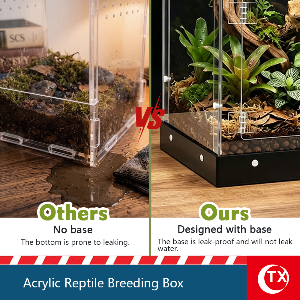 TX Large Acrylic Reptile Breeding Box - 7.9" x 7.9" x 12.2" - Watertight Base, Magnetic Top Lid & Side Opening Door - Easy Assembly, Stackable Habitat for Jumping Spiders, Geckos, Arboreal Reptiles - Image 4