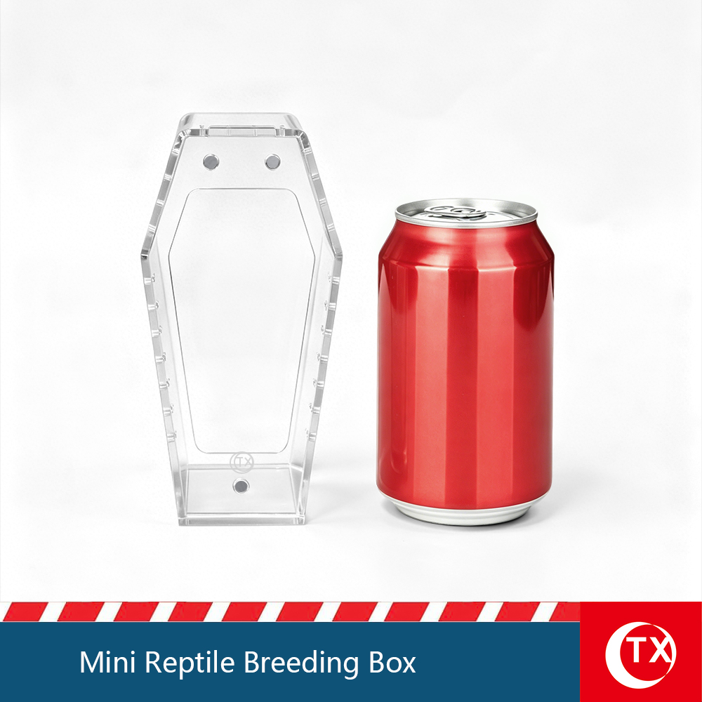 Mini Size Acrylic Coffin Shaped Jumping Spider Enclosure, Clear, Magnetic Lid, Install Free Reptile Habitat - Image 3