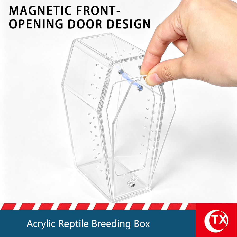 Mini Size Acrylic Coffin Shaped Jumping Spider Enclosure, Clear, Magnetic Lid, Install Free Reptile Habitat - Image 2