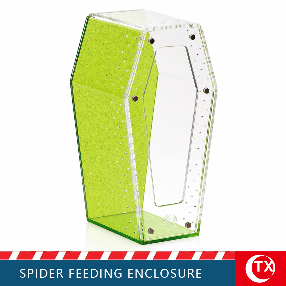 TX Unique Gothic Style Coffin Spider Habitat - Glitter Green Acrylic Design For Jumping Spider