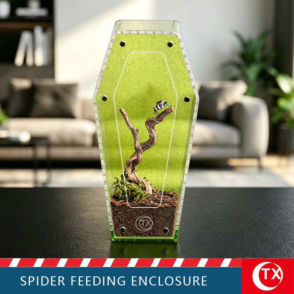 TX Unique Gothic Style Coffin Spider Habitat - Glitter Green Acrylic Design For Jumping Spider - Image 2