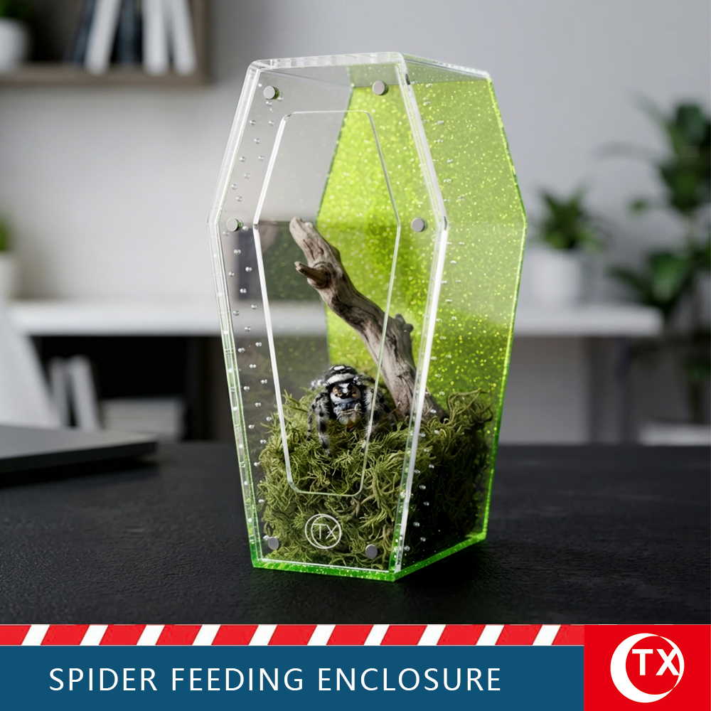 TX Unique Gothic Style Coffin Spider Habitat - Glitter Green Acrylic Design For Jumping Spider - Image 3