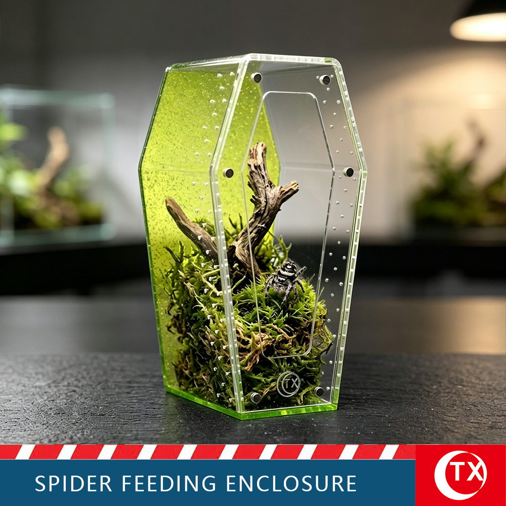 TX Unique Gothic Style Coffin Spider Habitat - Glitter Green Acrylic Design For Jumping Spider - Image 4