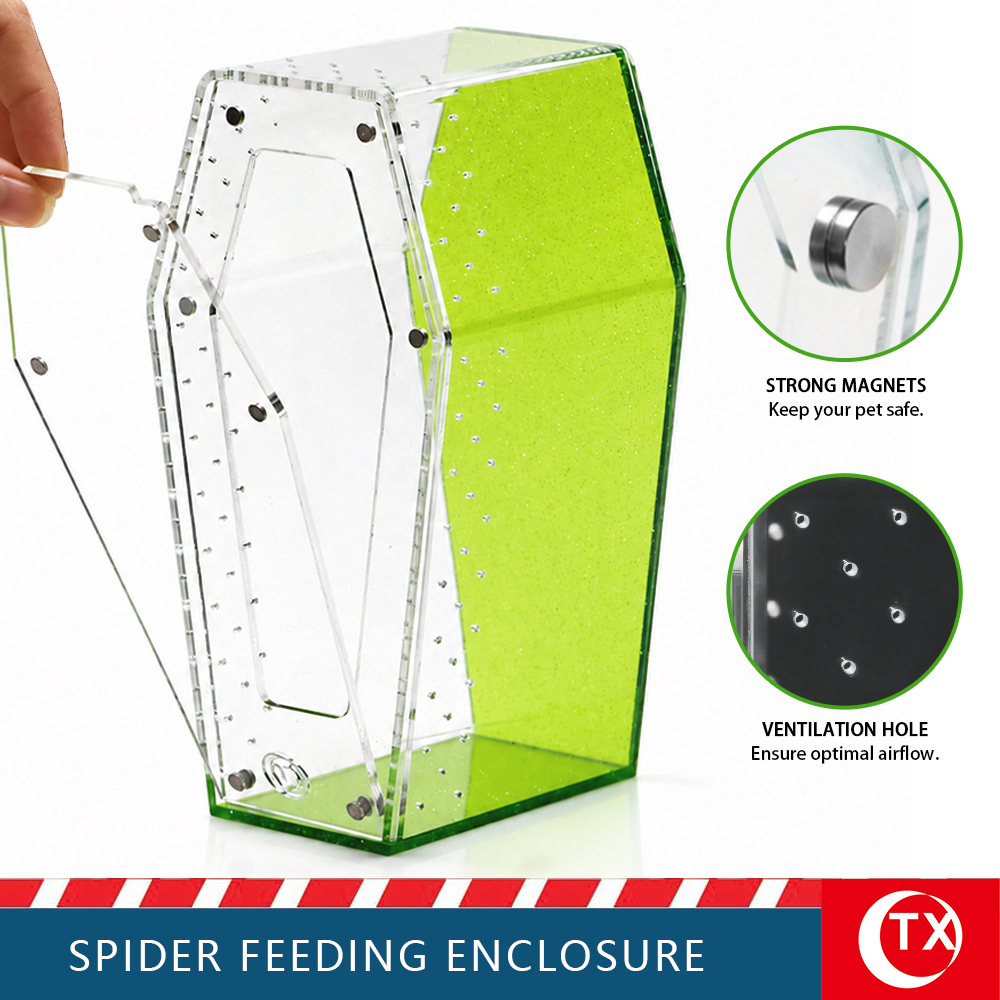 TX Unique Gothic Style Coffin Spider Habitat - Glitter Green Acrylic Design For Jumping Spider - Image 8