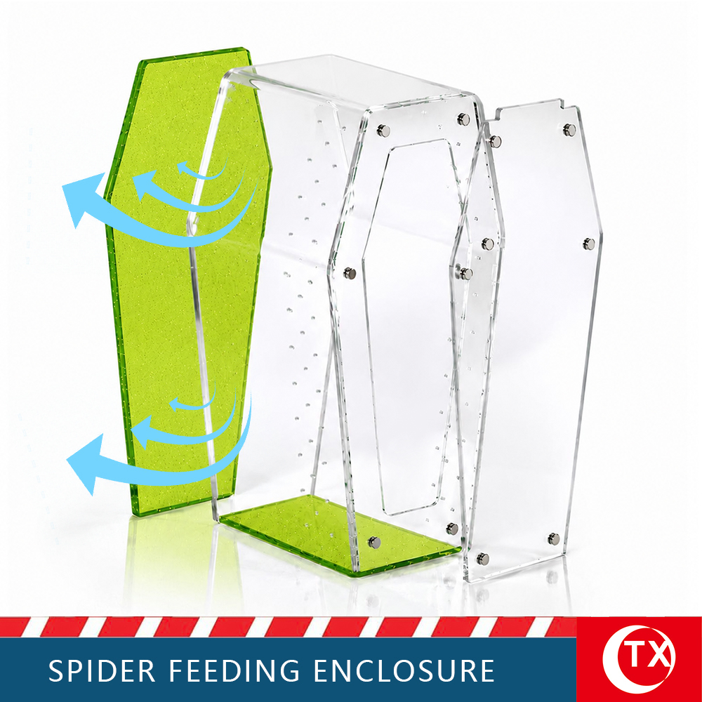 TX Unique Gothic Style Coffin Spider Habitat - Glitter Green Acrylic Design For Jumping Spider - Image 7
