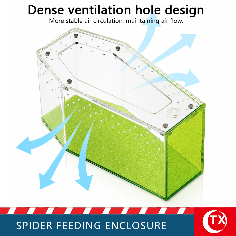 TX Unique Gothic Style Coffin Spider Habitat - Glitter Green Acrylic Design For Jumping Spider - Image 6