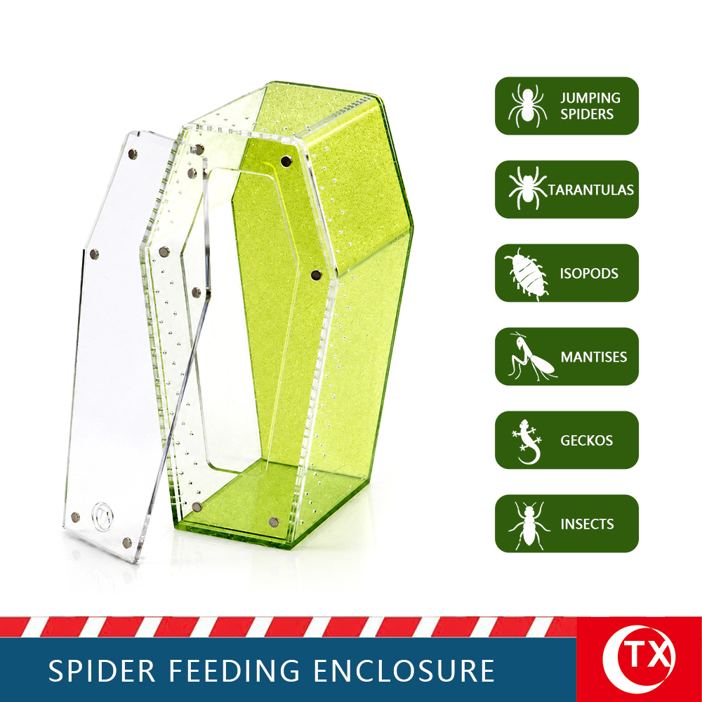 TX Unique Gothic Style Coffin Spider Habitat - Glitter Green Acrylic Design For Jumping Spider - Image 5