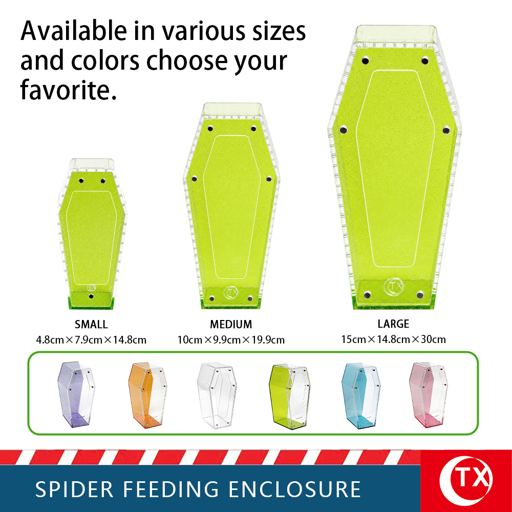 TX Unique Gothic Style Coffin Spider Habitat - Glitter Green Acrylic Design For Jumping Spider - Image 9