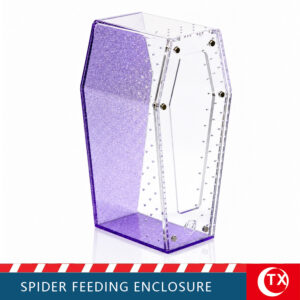 TX Purple Glitter Coffin Acrylic Spider Feeding Enclosure | Desktop Tarantula Habitat