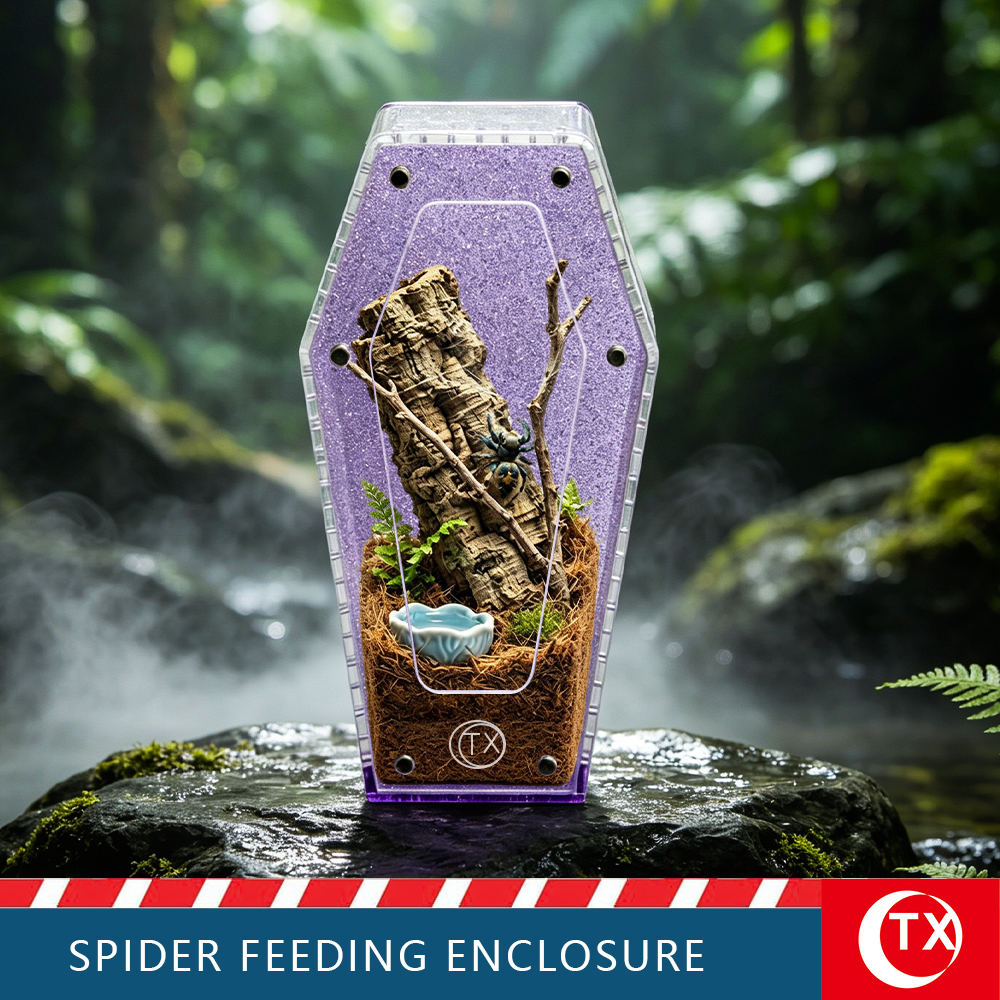 TX Purple Glitter Coffin Acrylic Spider Feeding Enclosure | Desktop Tarantula Habitat - Image 2