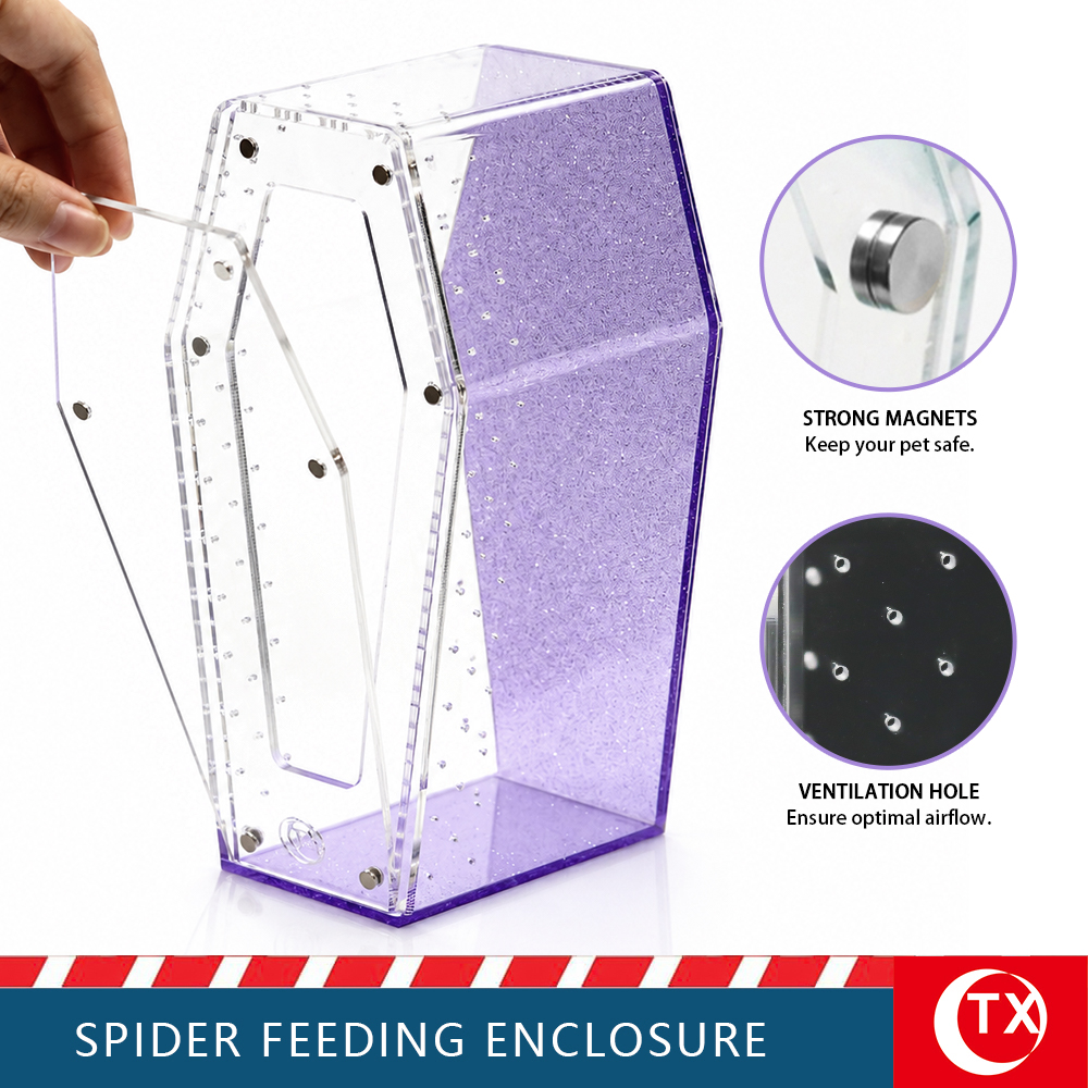 TX Purple Glitter Coffin Acrylic Spider Feeding Enclosure | Desktop Tarantula Habitat - Image 3