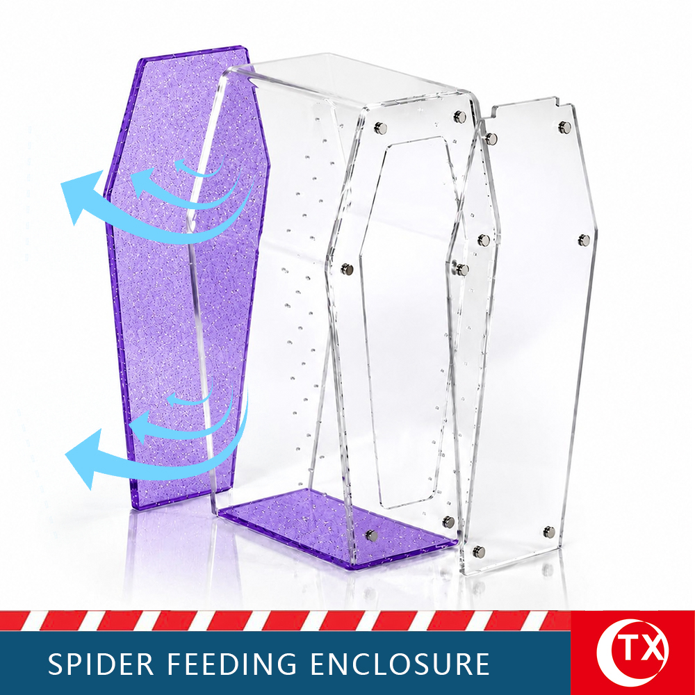 TX Purple Glitter Coffin Acrylic Spider Feeding Enclosure | Desktop Tarantula Habitat - Image 7
