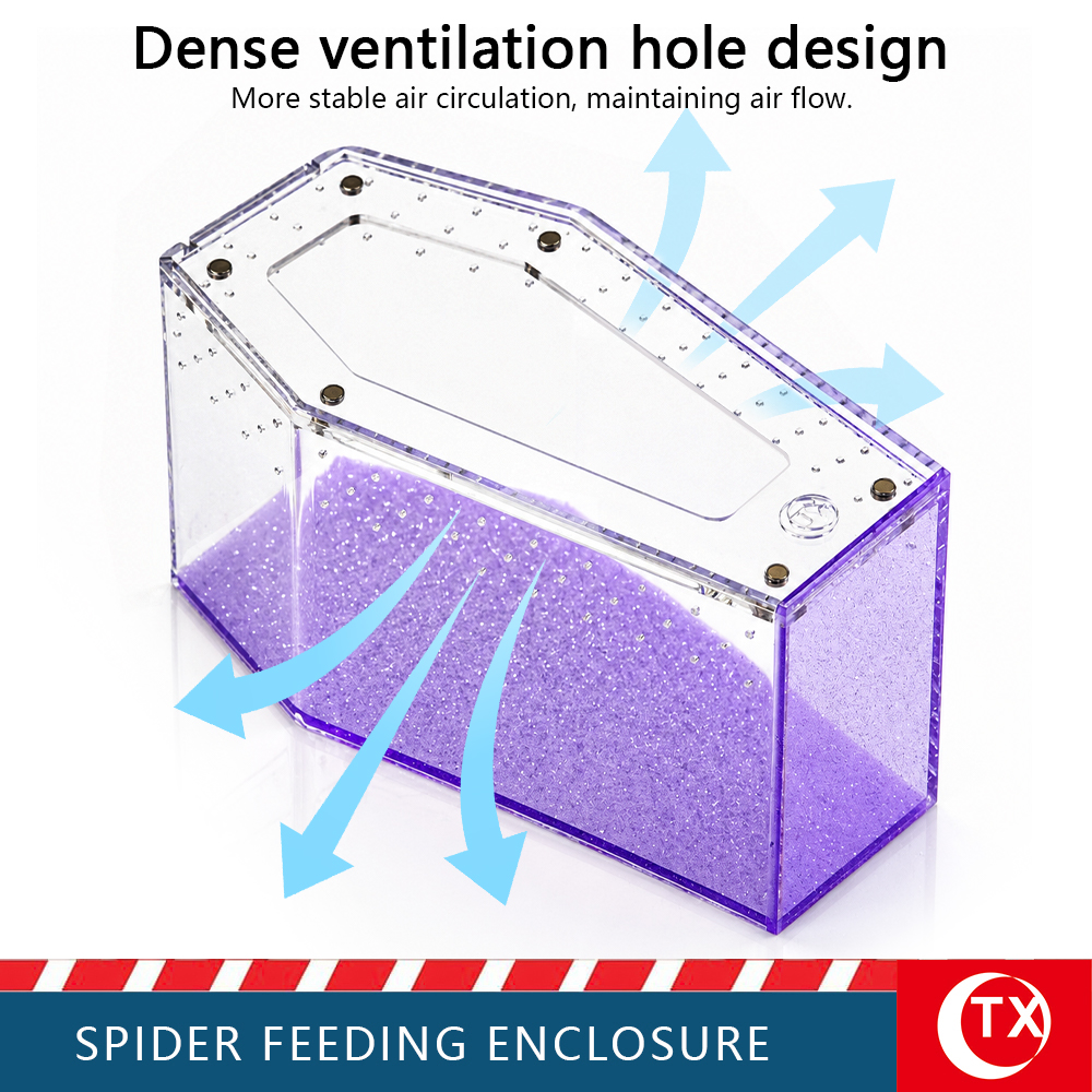 TX Purple Glitter Coffin Acrylic Spider Feeding Enclosure | Desktop Tarantula Habitat - Image 6