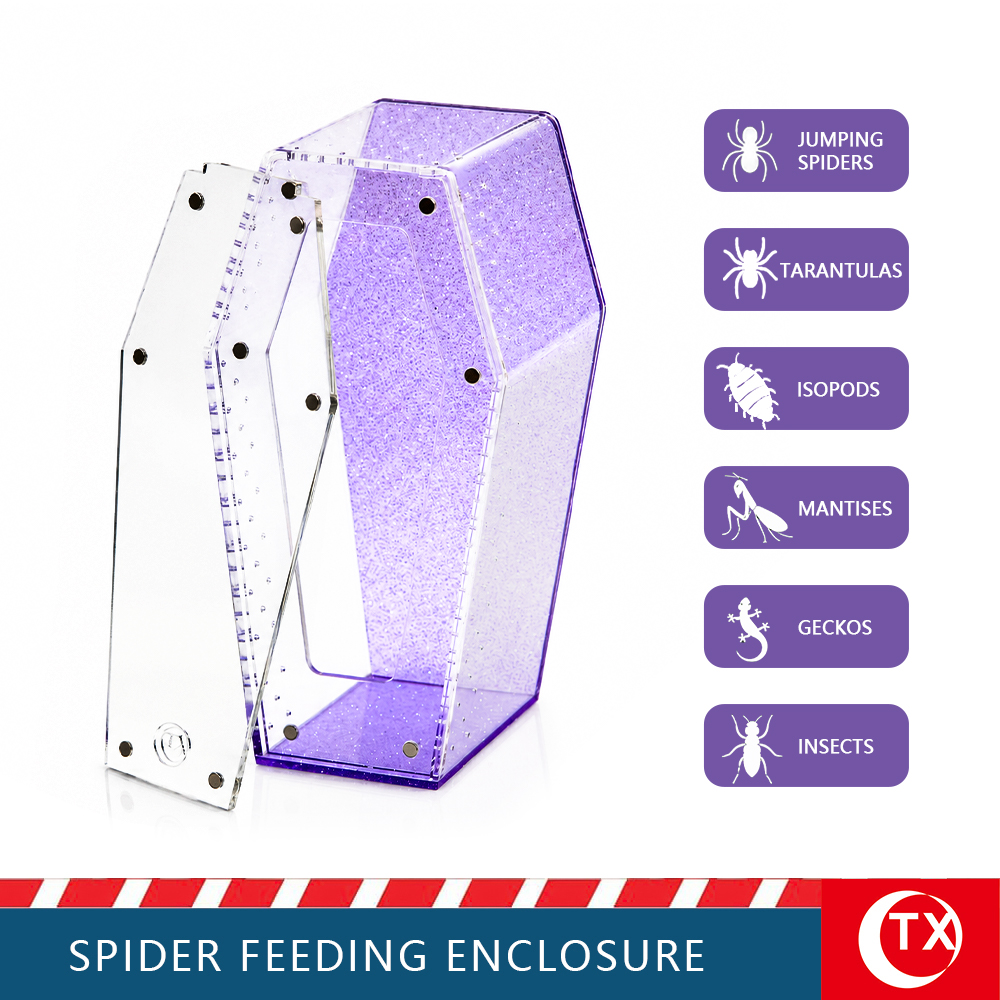 TX Purple Glitter Coffin Acrylic Spider Feeding Enclosure | Desktop Tarantula Habitat - Image 5