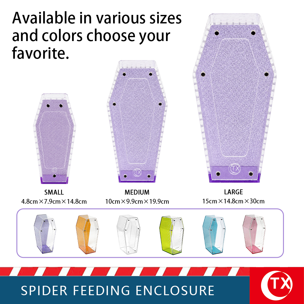 TX Purple Glitter Coffin Acrylic Spider Feeding Enclosure | Desktop Tarantula Habitat - Image 4